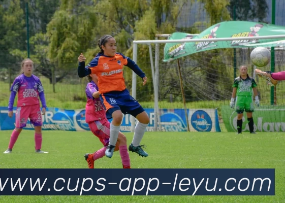 乐鱼官网APP 封面图